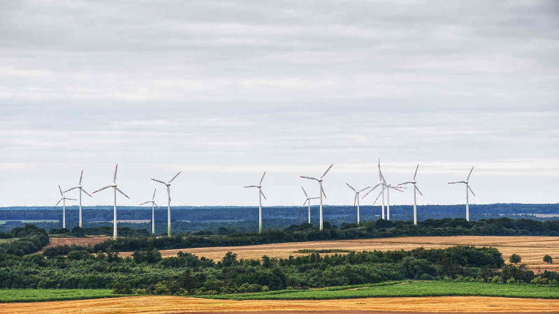 La energia eólica y los montes de pinos